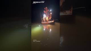 14-foot gator caught by four-man team in Mississippi