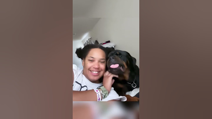 They said they were going to get a Rottweiler #funny #funnydogs #pets #funnypets #dog #animals