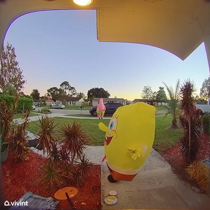 Careful SpongeBob! Careful SpongeBob! (MEME)