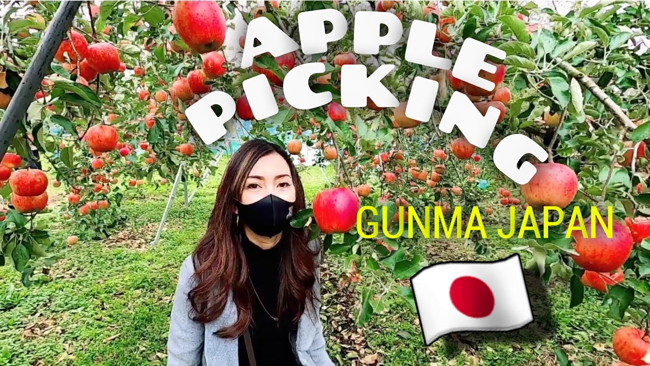 APPLE PICKING IN GUNMA JAPAN APPLE ORCHARD YouTube