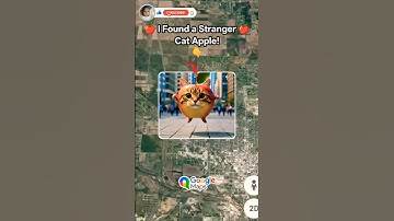 I Found a Stranger Cat apple On Google Maps and Earth #earth #maps