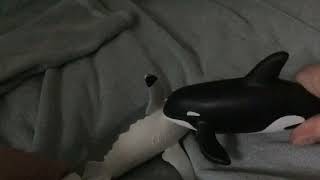 Jaws vs free willy (sea animal fiction faceoff)