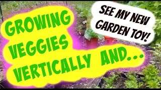 Growing Vegetables Vertically and My New Garden Toy!
Learn to grow your vegetables vertically to save space and save your back! In this video, I show you a variety of ways I grow my vegetables, herbs and fruits vertically. I also show you my latest gardening toy that helps me grow vertically even better!
RESOURCES mentioned in the video:
❤️ Get $10 off GREENSTALK VERTICAL PLANTER with Internal Patented Watering System with this link https://lddy.no/wqt1
Use my Discount Code SHERYL10 at checkout.
Make sure you signup for their emails to be notified of their deals & new products. This is an affiliate link and I receive a commission should you purchase using my link and discount code. Thank you so much for supporting my channel!
❤️ THANK YOU FOR SUPPORTING OUR CHANNEL BY DOING ALL YOUR AMAZON SHOPPING WITH THIS LINK: (If you shop through our Amazon affiliate links, we make a bit of juju and it means a LOT. You dont pay a penny more. Feel free to go to vendors directly if you prefer not to use my links.) ;)
Bookmark this link for future! 💋🐾
START SHOPPING HERE 👉 https://www.amazon.com/shop/juicinggardenersherylmann
Make sure to click FOLLOW when youre over there!
FOX FARM HAPPY FROG ORGANIC POTTING MIX
http://amzn.to/1Pa0evN
To find Happy Frog Locally:
http://foxfarmfertilizer.com/frontpage/locations-retailers.html
BLACK GOLD NATURAL AND ORGANIC SOIL
http://amzn.to/1PvQa5U
Visit Tom at Growyourheirlooms channel
💗 Join our Vegetable Winter Sowing / Milk Jug Sowing training and support group - Learn Free Outdoor Seedling Growing!
http://www.facebook.com/groups/WinterSowing.VegGardeningWithSheryl
Come join the family. Its free!
SHARE this video:
Growing Vegetables Vertically and My New Garden Toy!
http://youtu.be/FDjtyq7SJus
WATCH More Popular Episodes Below!
► Mind-Blowing Mini-Greenhouse Reveal! 1st Winter Sowing Results for 2015
http://tinyurl.com/nd7lkch
► Secret to Making Leafy Greens, Lettuce Last 5-10x LONGER, Stay Crisper!
http://tinyurl.com/qhucn6n
► Seed Saving Overview - Glimpse Into My Vegetable, Herb, Fruit Seed Saving Magic
http://tinyurl.com/qaakltt
Enjoying My Videos? Feel Free to SUBSCRIBE for More Free Awesomeness on How-To Organic Gardening, Winter Sowing, Juicing and Healthy Food Prep:
http://www.youtube.com/user/JuicingGardener/feed
LEARN ABOUT THE AMAZING WINTER SOWING METHOD (AKA MILK JUG SOWING METHOD) !: Grow your own gorgeous organic vegetable, herb and fruit seedlings outside in your back yard or patio in the SNOW or COLD WEATHER from seeds in little FREE repurposed containers (mini-greenhouses) like milk jugs, juice and water bottles and pop bottles!
http://tinyurl.com/mfyw5n4
Why Winter Sow?
13 Amazing Benefits of Winter Sowing to Grow (Almost) F-R-E-E Food For Your Family
http://tinyurl.com/qdx6o7p
(WATCH VIDEO) Winter Sowing - 2nd Big Reveal! Growing Vegetable Seedlings from Seeds in the Snow
http://tinyurl.com/n8l9z9u
(WATCH MY WINTER SOWING VIDEOS)
► My Winter Sowing Playlist: Winter Sowing | Growing Vegetable, Herb & Fruit Seedlings in the Snow or Cold Weather!
http://tinyurl.com/ow4tp9r
If you LIKE this video, I appreciate you giving it a THUMBS UP and
If you LOVE this video, please SHARE IT with your friends!
If youre new to my channel, go ahead and click SUBSCRIBE! :)
Find me on these other websites too. Lets Connect! 💋
♥ WEBSITE:
http://www.JuicingGardener.com - join me here for free organic gardening, healthy food prep and juicing newsletter!
♥ FACEBOOK:
http://www.facebook.com/JuicingGardenerTV
♥ PINTEREST: Pin me!
http://www.pinterest.com/SherylMannDC
♥ TWITTER:
http://www.twitter.com/JuicingGardener
♥ GOOGLE+:
google.com/+JuicingGardener
♥ YOUTUBE:
http://www.youtube.com/JuicingGardener
JUICINGGARDENER ULTIMATE SHERYL PLAYLIST:
http://www.youtube.com/playlist?list=PLmiPsabET-W-AOmoHBtPSzLRUhXA1PNk2
Growing Vegetables Vertically and My New Garden Toy!
http://youtu.be/FDjtyq7SJus
🌿 *Disclosures: All opinions are 100% my own. Some of my links to products/gear are affiliate links. If you click a link and buy something, I may receive a small commission. It doesnt cost you anything extra and you are free to use the link or not as you choose. If you do use my links, I thank you for supporting this JuicingGardener channel and my research so I can continue to provide you with free content! I am a proud participant in the Amazon Services LLC Associates Program and the GreenStalk Associate Program, affiliate marketing programs designed to provide a means for me to earn fees by linking to Amazon.com and related sites and to Greenstalk.com. Growing Vegetables Vertically and My New Garden Toy!