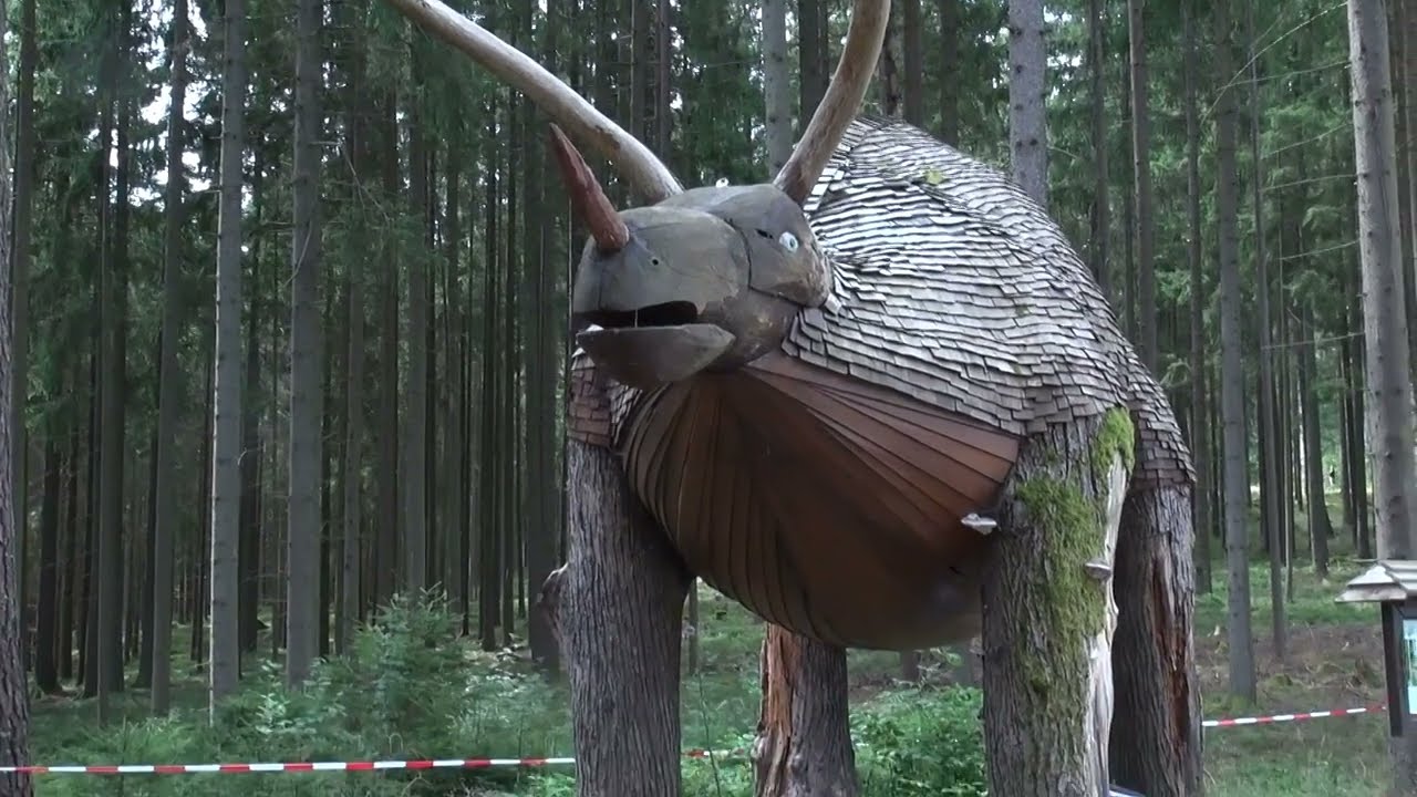 Moorwald bei Bad Leonfelden