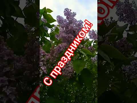 С 1 Мая!