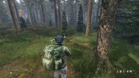 When your friend dies out of nowhere in dayz ps4