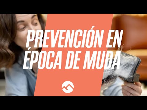 Prevencin en poca de muda - Webinar gratuito