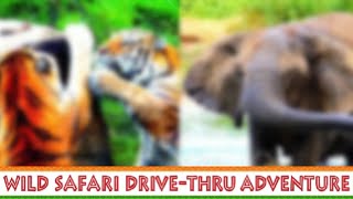 Wild Safari Cinematic Tour | Six Flags Great Adventure | May 2020