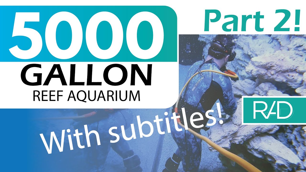 5000 GALLON REEF AQUARIUM IN FORT LAUDERDALE, FLORIDA BY REEF AQUARIA DESIGN PART 2