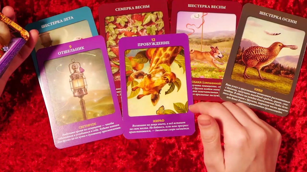 СРОЧНОЕ СООБЩЕНИЕ ОТ СУДЬБЫ И ВАШЕГО АНГЕЛА ХРАНИТЕЛЯ