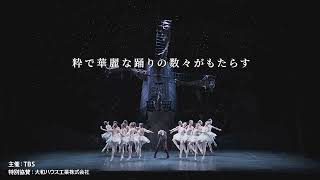 ドン・キホーテ | K-BALLET