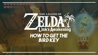 Link's Awakening Switch | How to Get the Bird Key