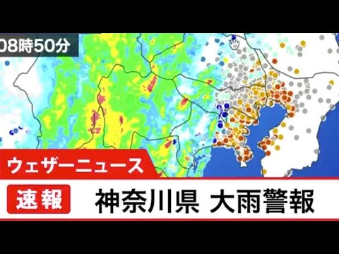 天気 神奈川 大和 警報