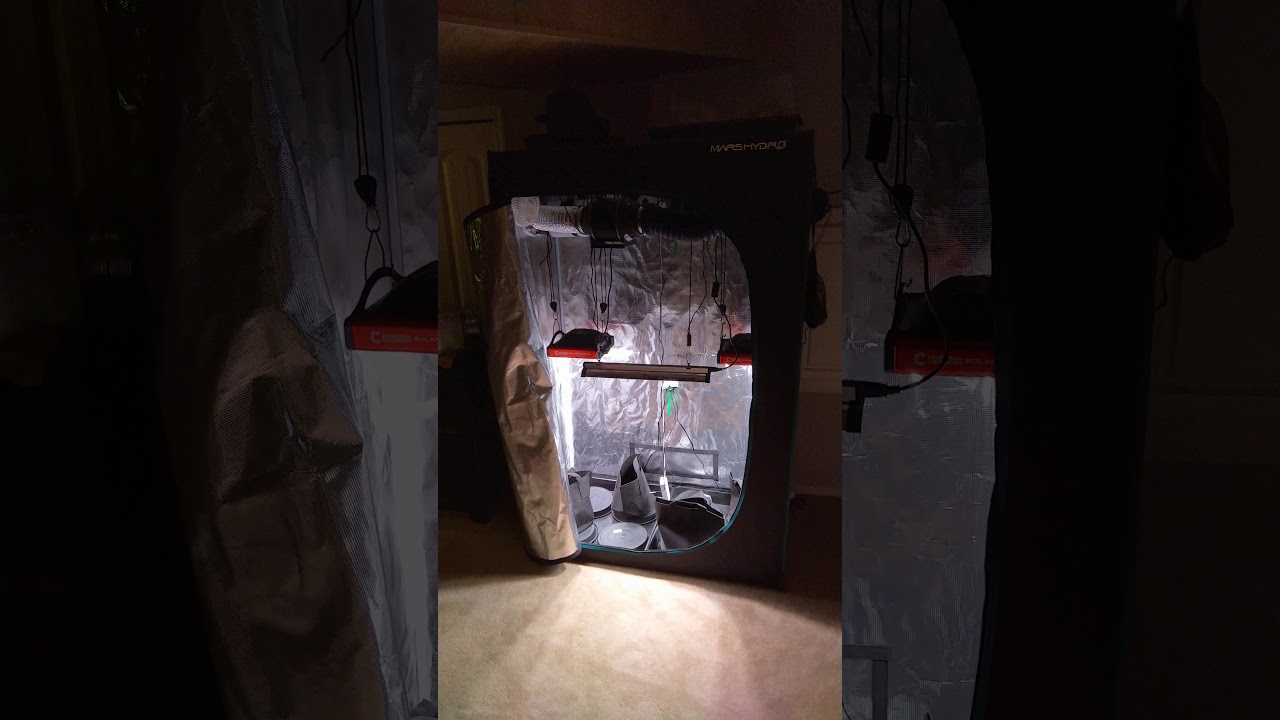 Mars Hydro 2 by 4 with 2 California Lightworks Solar Xtreme 250 LED's & 1 CLW Solar System T5 UVB