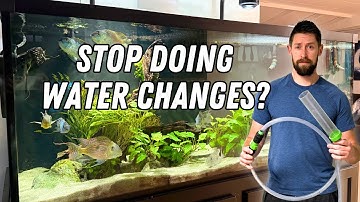 Are Water Changes Really Necessary for Your Aquarium?
