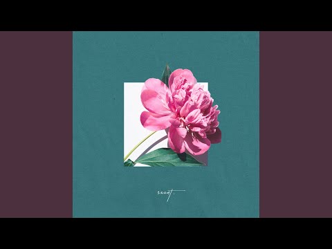 松岡奈波/ENDLESS LOVE 松岡奈波/ENDLESS LOVE 松岡奈波/ENDLESS LOVE Endless Love (TV