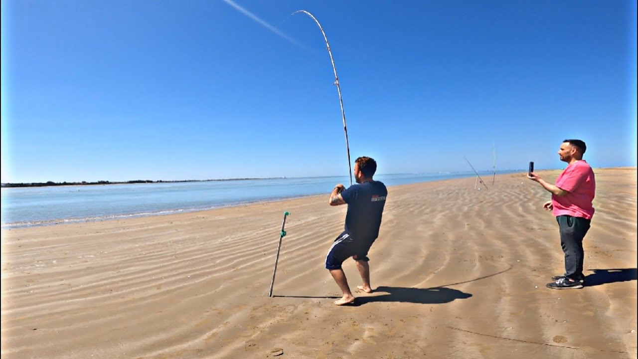 INCREIBLE PESQUERA // DE // LUBINAS AL VIVO/.          2 días BUSCANDO LA XXL, Y ‼️LO CONSIGO‼️
