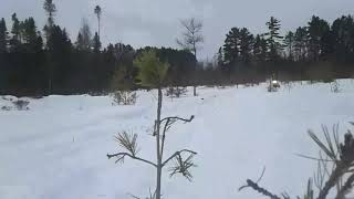 2018 Sled edit