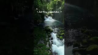 see the pin comment#nature #alone#books#viral #introvert #quotes #motivation#rainsounds #asmr