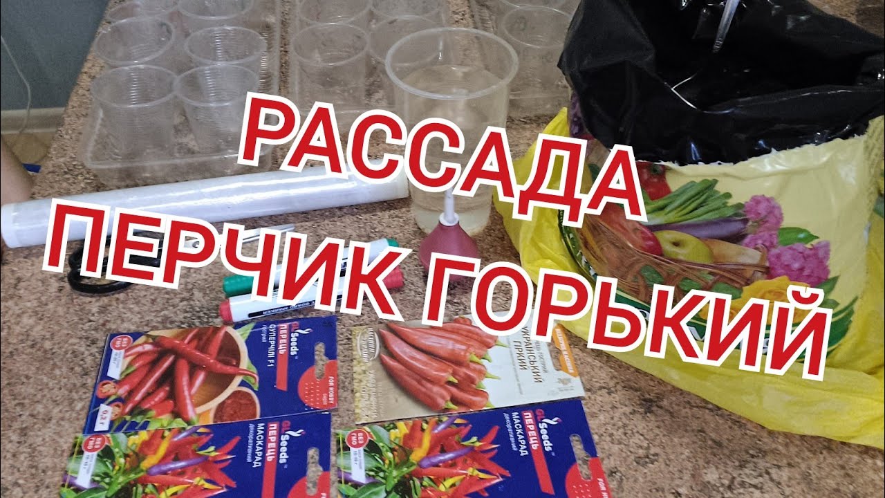Сею перец на рассаду/ Как зимой хранить острый перец 🌶 / ТУШЁНЫЙ ОКИСТ ...