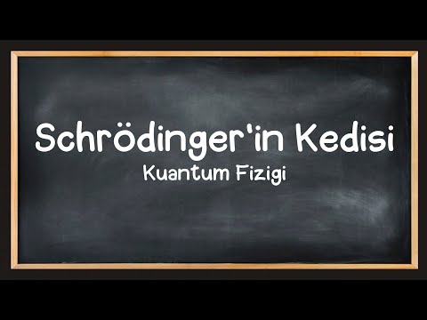 Video: Schrödinger deneyi neydi?