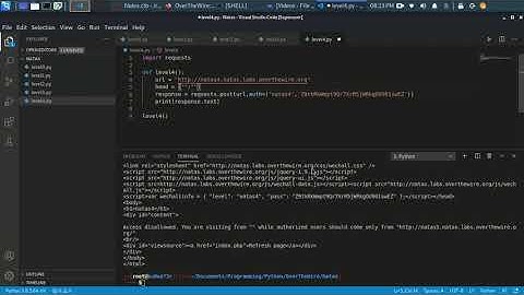 OverTheWire: GameWar: Natas Level 4