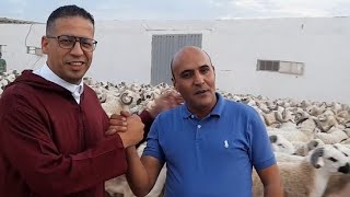 أمواج ? من الصردي الأصيل في ضيعة فريد المزابي لعيد الأضحى المبارك 2023
