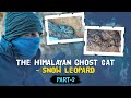 Snow leopard  spiti valley  in search of a snow leopard  wild spiti  part2