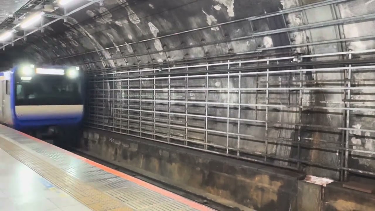 바쿠로초역에 도착하는 JR 히가시니혼 소부 쾌속선•요코스카선 E235계 1000번대 전동차