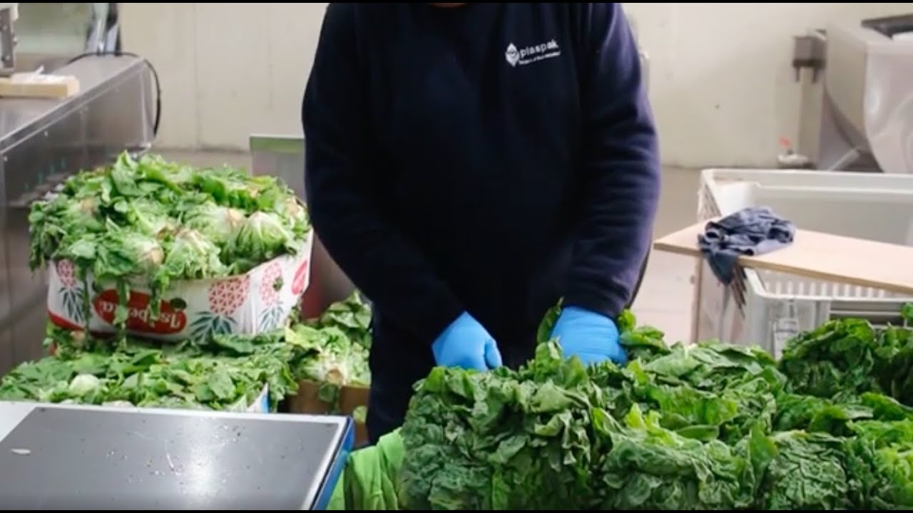 Expo Plaspak Octubre 2019 - Demostración Frutas y Verduras