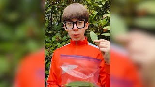 I Guess Money Does Grow On Trees