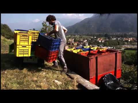 Sneakers | Bimba Y Lola Womens Silver Technical Sneaker Silver – Yod Design