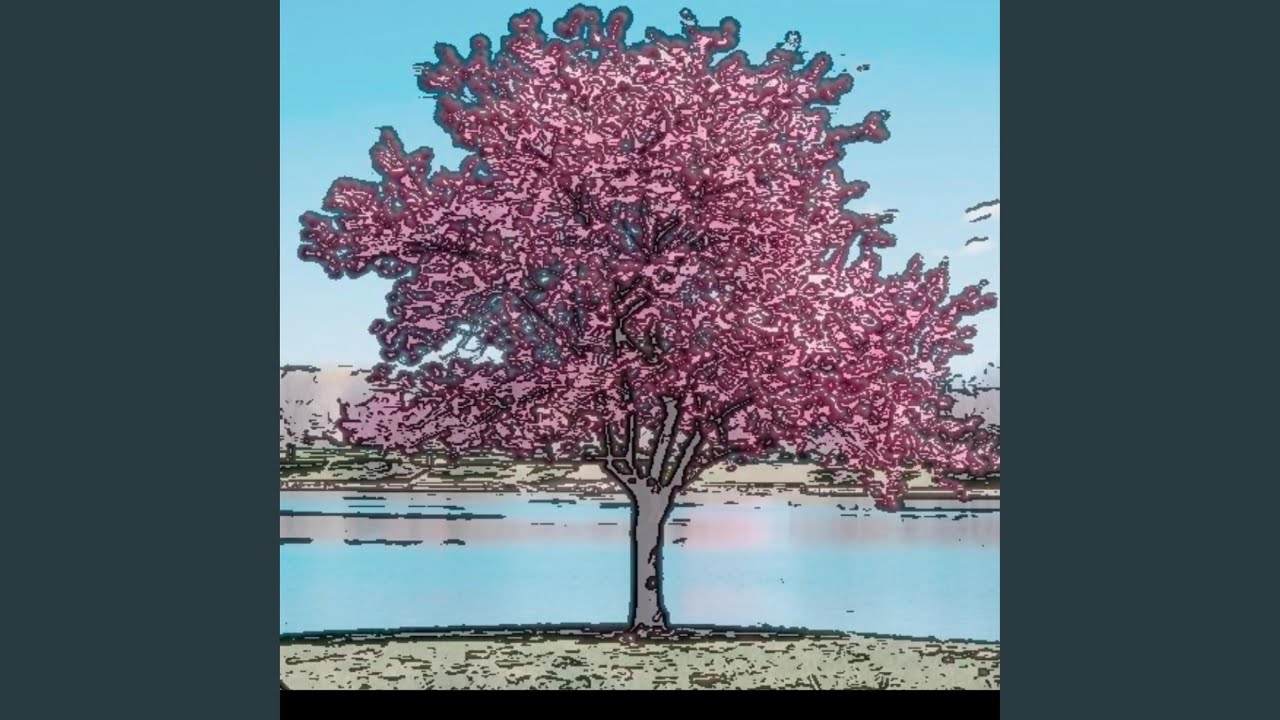 YouTube에서 Cherry trees 보기 YouTube에서 Cherry trees 보기