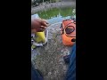 Fishing - Live Stream