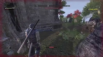 THE ELDER SCROLLS ONLINE - Teleport glitch