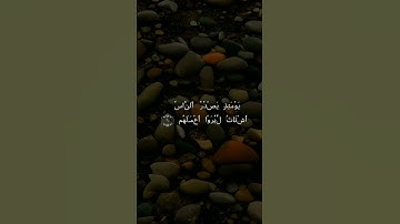 نشر القرآن الكريم ❤️❤️🎧