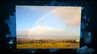 Don't Worry Have Otterocity!