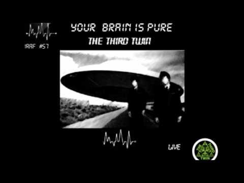 The Third Twin - Your Brian Is Pure