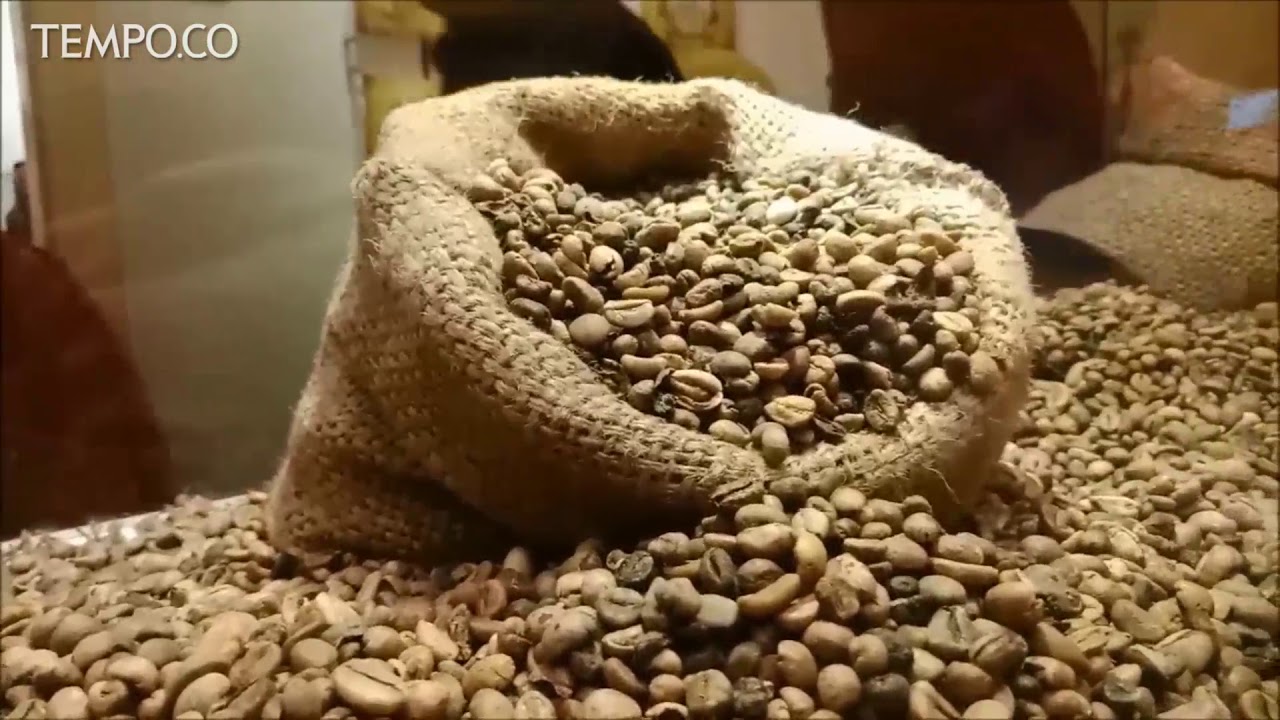 Museum Multatuli, Saksi Sejarah Orang Belanda Penentang Kolonialisme