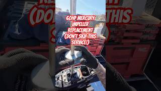 60HP Mercury Impeller Replacement (Don’t Skip This Service!)