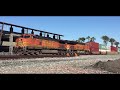 BNSF &amp; Amtrak Trains | Fullerton | Spring 2017