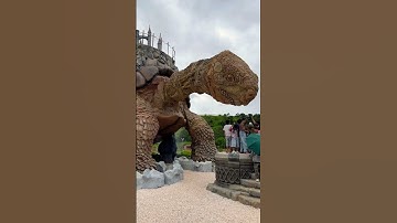 Chú rùa khổng lồ nơi xứ sở các vị thần