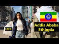 Meskel flower  addis ababa walking tour 2023