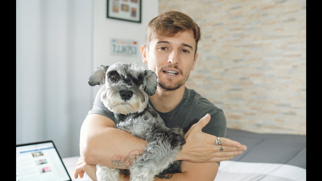 O que significa Back to Triangle?