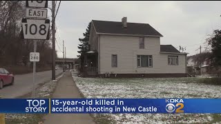 Teenager Shot, Killed In New Castle