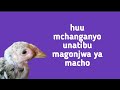 Tiba Ya Ugojwa Wa Macho Kwa Kuku