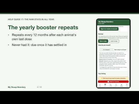 Ram With Ewes All Year: Sheep App Setup With No Lambing Season