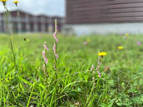 太陽のあたる場所