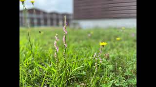 Download Lagu 太陽のあたる場所 MP3