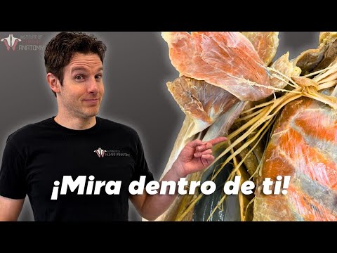 10 minutos que